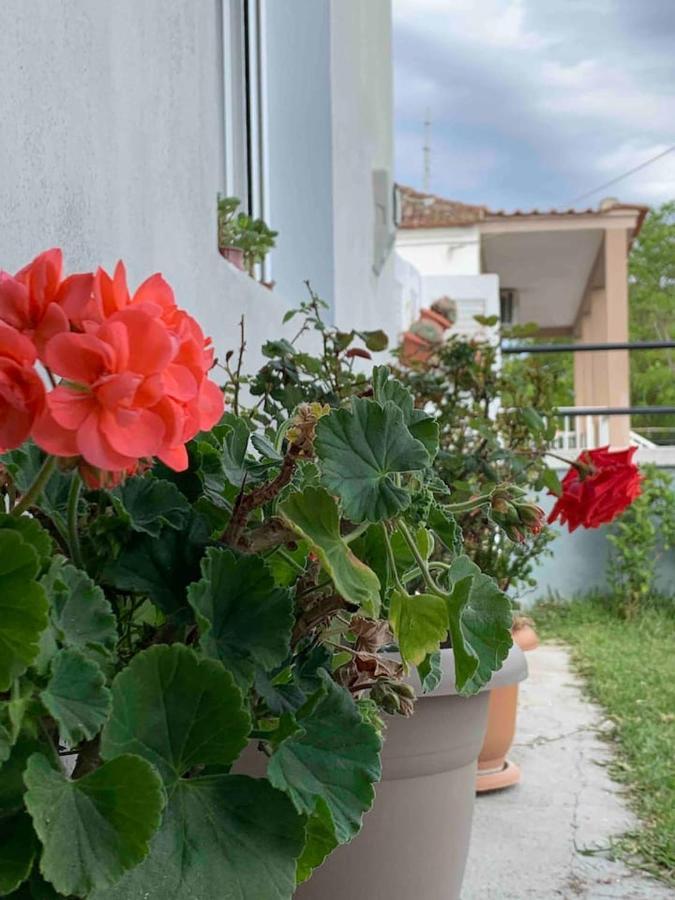 Cleopatra'S Cozy Cottage Keremetli Dış mekan fotoğraf